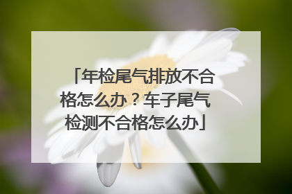 年检尾气排放不合格怎么办？车子尾气检测不合格怎么办