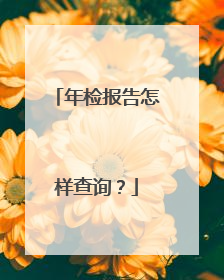 年检报告怎样查询？