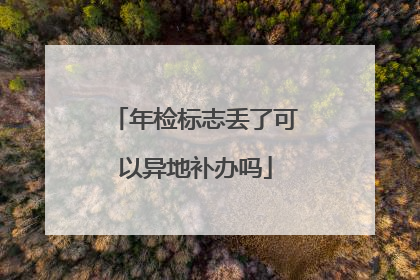 年检标志丢了可以异地补办吗