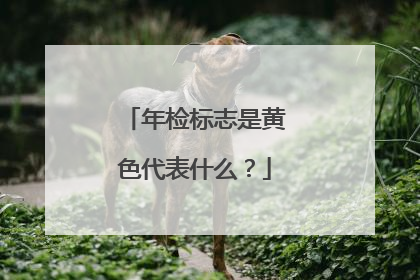 年检标志是黄色代表什么？