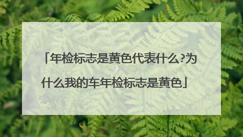 年检标志是黄色代表什么?为什么我的车年检标志是黄色