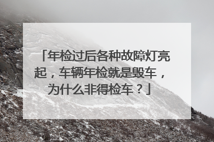 年检过后各种故障灯亮起，车辆年检就是毁车，为什么非得检车？