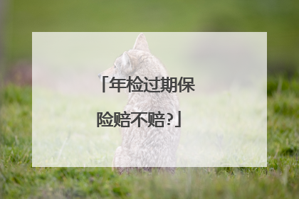 年检过期保险赔不赔?