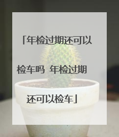 年检过期还可以检车吗 年检过期还可以检车