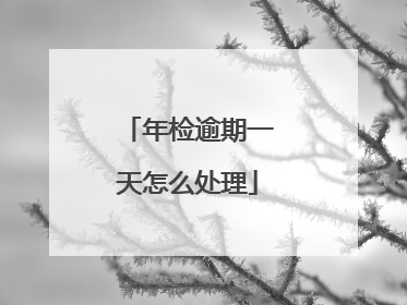 年检逾期一天怎么处理