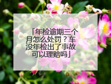 年检逾期三个月怎么处罚？车没年检出了事故可以理赔吗
