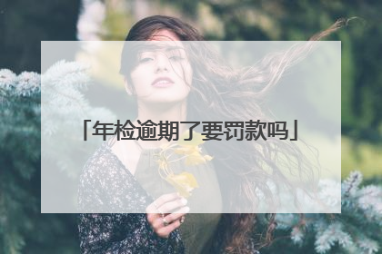 年检逾期了要罚款吗