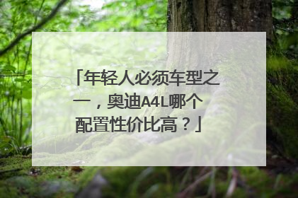 年轻人必须车型之一，奥迪A4L哪个配置性价比高？