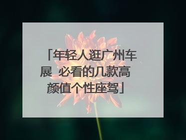 年轻人逛广州车展 必看的几款高颜值个性座驾