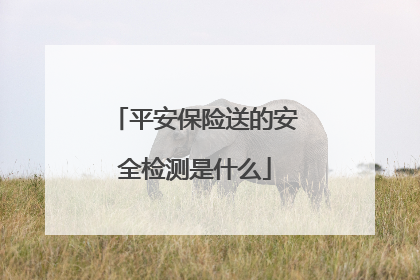 平安保险送的安全检测是什么