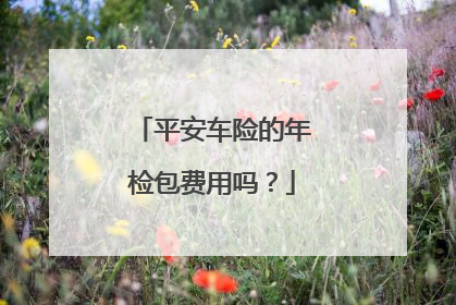 平安车险的年检包费用吗？