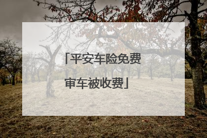 平安车险免费审车被收费