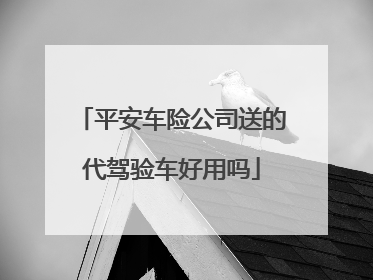 平安车险公司送的代驾验车好用吗