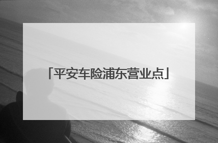 平安车险浦东营业点