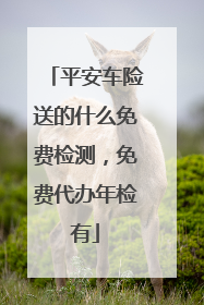 平安车险送的什么免费检测，免费代办年检有