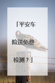 平安车险送免费检测？