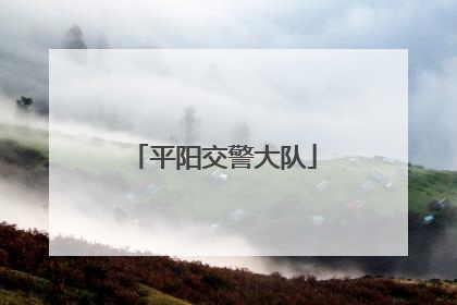 平阳交警大队