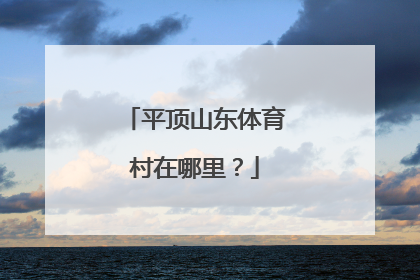 平顶山东体育村在哪里？