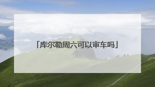 库尔勒周六可以审车吗