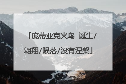 庞蒂亚克火鸟 诞生/翱翔/陨落/没有涅槃