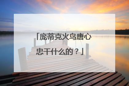 庞蒂克火鸟唐心忠干什么的？