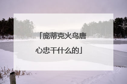 庞蒂克火鸟唐心忠干什么的