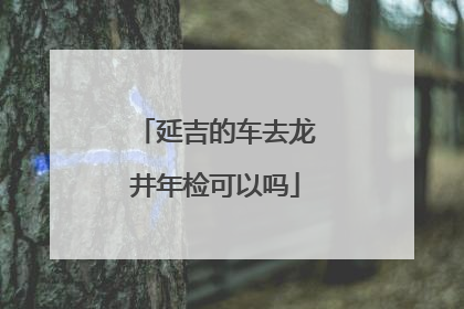 延吉的车去龙井年检可以吗