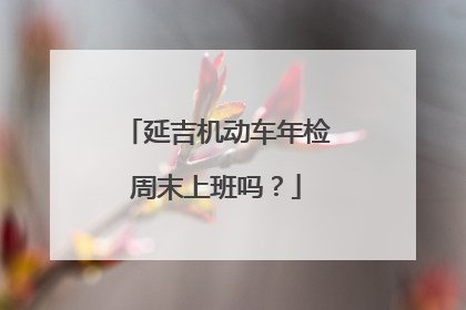延吉机动车年检周末上班吗？