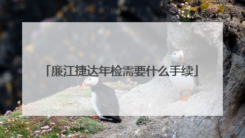 廉江捷达年检需要什么手续