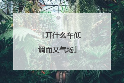 开什么车低调而又气场
