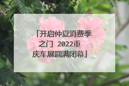 开启仲夏消费季之门 2022重庆车展圆满闭幕