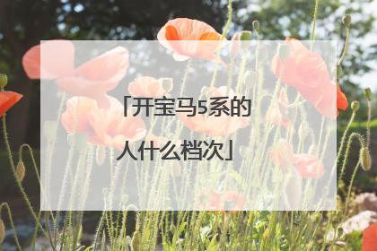 开宝马5系的人什么档次