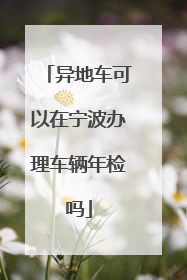 异地车可以在宁波办理车辆年检吗