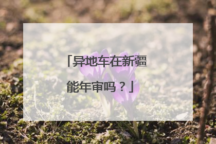 异地车在新疆能年审吗？