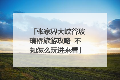 张家界大峡谷玻璃桥旅游攻略 不知怎么玩进来看