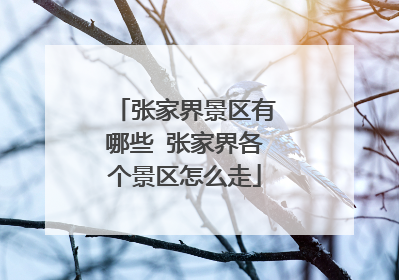 张家界景区有哪些 张家界各个景区怎么走