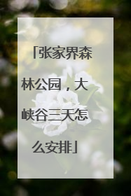 张家界森林公园，大峡谷三天怎么安排