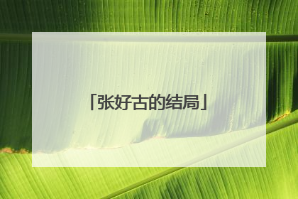 张好古的结局