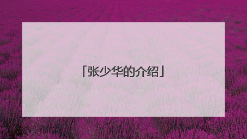 张少华的介绍