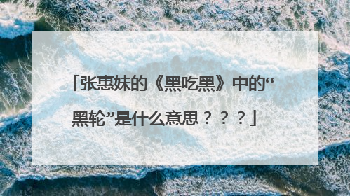 张惠妹的《黑吃黑》中的“黑轮”是什么意思？？？