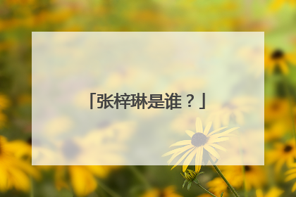张梓琳是谁？