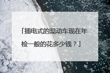 插电式的混动车现在年检一般的花多少钱？