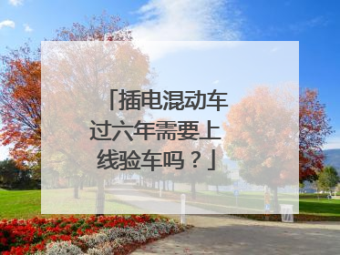 插电混动车过六年需要上线验车吗？
