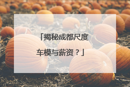 揭秘成都尺度车模与薪资？