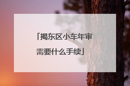 揭东区小车年审需要什么手续