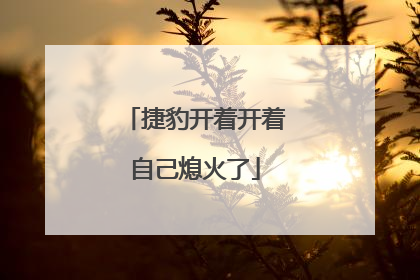 捷豹开着开着自己熄火了