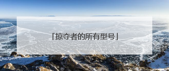 掠夺者的所有型号