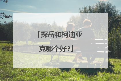 探岳和柯迪亚克哪个好?