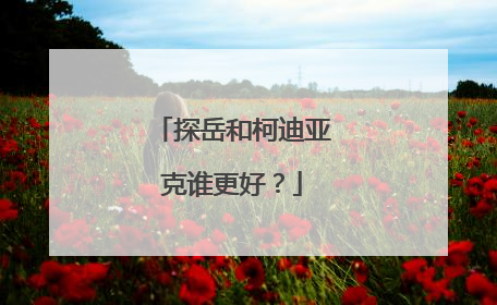 探岳和柯迪亚克谁更好？