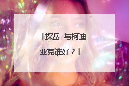 探岳 与柯迪亚克谁好？